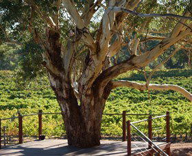 Upper Reach Winery And Cellar Door - Darwin Holiday 1