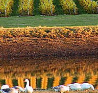 Pipers Brook Vineyard - Darwin Holiday