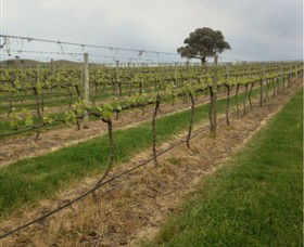Indigo Vineyard - Darwin Holiday 1