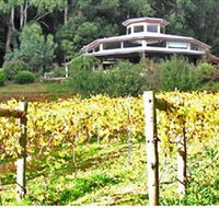 Peveril Vineyard/Beechy Berries - Darwin Holiday