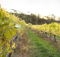 Harcourt Valley Vineyards - Darwin Holiday