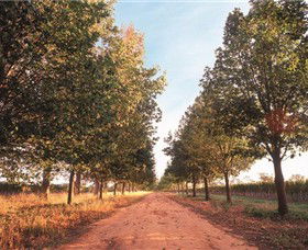 Water Wheel Vineyards - Darwin Holiday 1