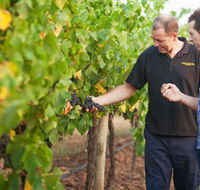 Fratin Brothers Vineyard - Darwin Holiday