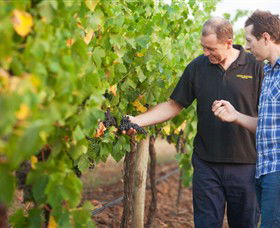 Fratin Brothers Vineyard - Darwin Holiday 0