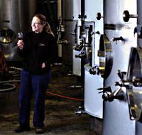Holm Oak Vineyard - Darwin Holiday