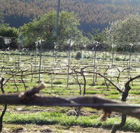 Three Willows Vineyard - Darwin Holiday