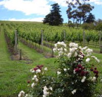 Pembroke Estate Vineyard - Darwin Holiday