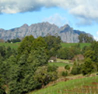 Lake Barrington Vineyard - Darwin Holiday