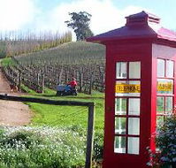 Dalrymple Vineyards - Darwin Holiday