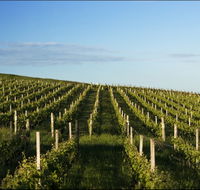 Delamere Vineyard - Darwin Holiday