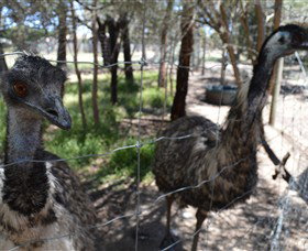Narana Aboriginal Cultural Centre - Darwin Holiday 4