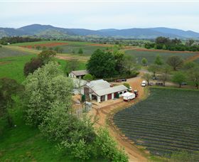 Schmidts Strawberry Winery - Darwin Holiday 0