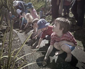 Royal Botanic Gardens Victoria - Darwin Holiday 5