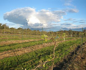 Flyfaire Wines - Darwin Holiday 7