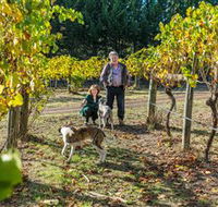 Little River Wines of Taggerty - Darwin Holiday