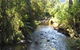 Little River Wines Of Taggerty - thumb 5