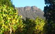 Little River Wines Of Taggerty - thumb 6
