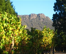 Little River Wines Of Taggerty - Darwin Holiday 6