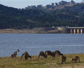 Inland Waters Holiday Parks Wyangala Waters - Darwin Holiday 3