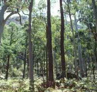 Cathedral Range State Park - Darwin Holiday