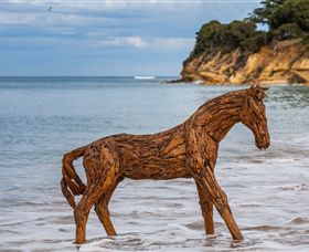 Easterly Pty Ltd - Darwin Holiday 1