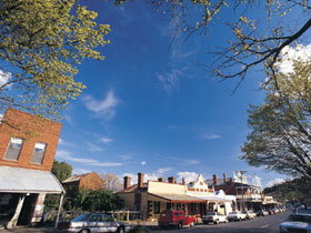 Drysdale Cheeses - Darwin Holiday 1