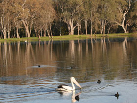 Drysdale Cheeses - Darwin Holiday 7