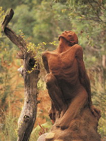 Drysdale Cheeses - Darwin Holiday 10