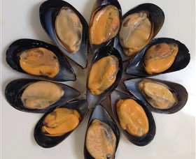 Advance Mussel Supply - Darwin Holiday 3