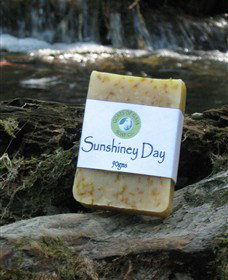 Karmic Goat Soapworks - Darwin Holiday 4