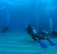 Man and Wife Rocks Dive Site - Darwin Holiday