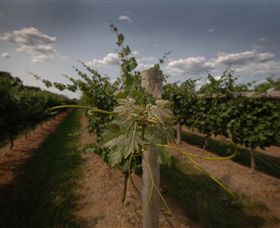 Punt Road Winery - Darwin Holiday 7