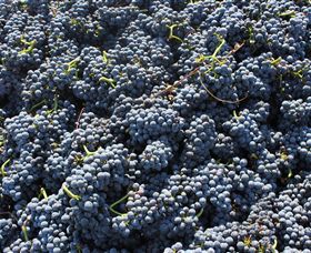 Punt Road Winery - Darwin Holiday 6