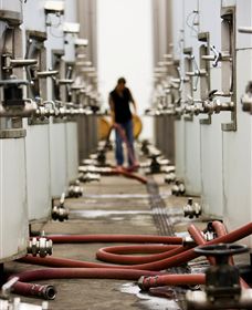 Punt Road Winery - Darwin Holiday 5