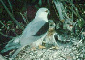 Bushy Park Wetlands - Darwin Holiday 0