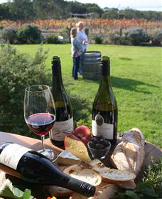 Kiltynane Wines - Darwin Holiday 1