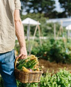 Kiltynane Wines - Darwin Holiday 6