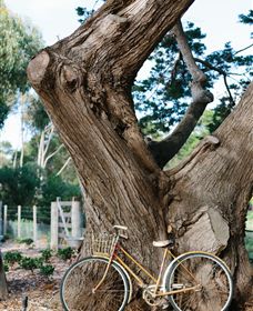 Kiltynane Wines - Darwin Holiday 8