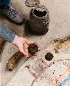 Kiltynane Wines - Darwin Holiday 7