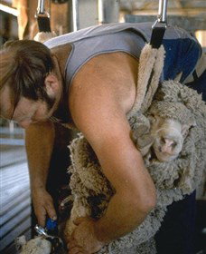 Kuriong Sheep Station - Darwin Holiday 0