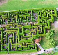 Hedgend Maze and Healesville Laser Sport - Darwin Holiday