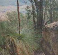 Mount Lawson State Park - Darwin Holiday