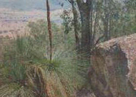 Mount Lawson State Park - Darwin Holiday 0