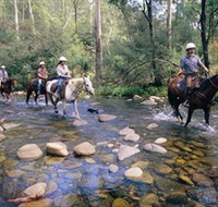 Howqua Hills Historic Area - Darwin Holiday
