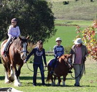 Bathurst Farm Experience - Darwin Holiday