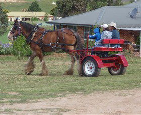 Bathurst Farm Experience - Darwin Holiday 3