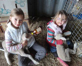 Bathurst Farm Experience - Darwin Holiday 4