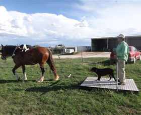 Bathurst Farm Experience - Darwin Holiday 6