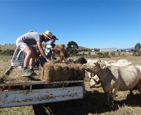 Bathurst Farm Experience - Darwin Holiday 5