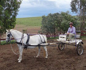 Bathurst Farm Experience - Darwin Holiday 8